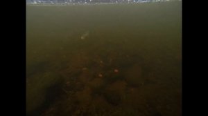 Рыбалка на притоках реки Енисей. Рыбалка на Енисее.