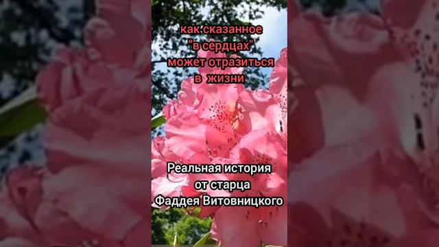 Сила родительского благословения смотреть онлайн