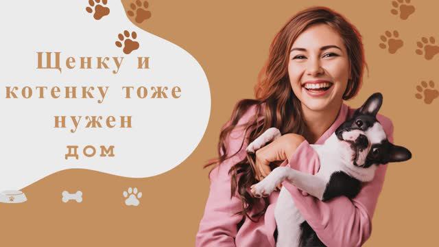 День бездомных животных смотреть онлайн