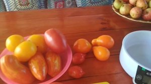 #томаты #обзор #большой куш#