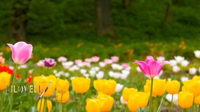 I Wish You A Sunny Mood 🌞Heaven On Earth - Best Ambient & Instrumental Music. Beautiful Relaxing. смотреть онлайн