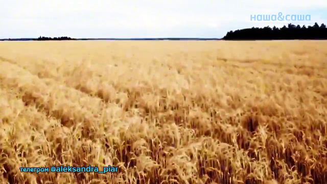 Девушка Мечта смотреть онлайн