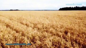 Девушка Мечта