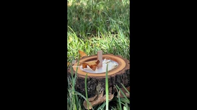 АРОМАТИЧЕСКАЯ СВЕЧА C ДЕРЕВЯННЫМ ФИТИЛЕМ смотреть онлайн