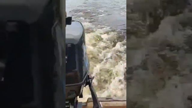 MTR Marine T 2.6 смотреть онлайн