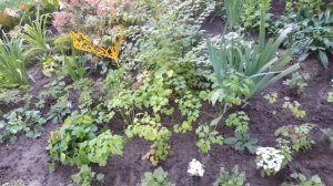 Как красиво  оформить угловой цветник .