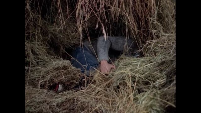 ПОЛЕТЫ ВО СНЕ И НАЯВУ: разбор фильма смотреть онлайн