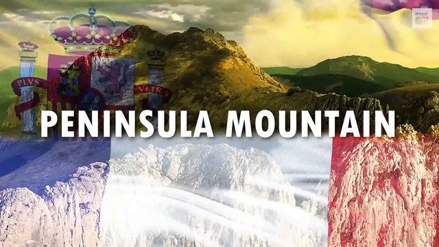 The BIGGEST DOG BREEDS In The World смотреть онлайн