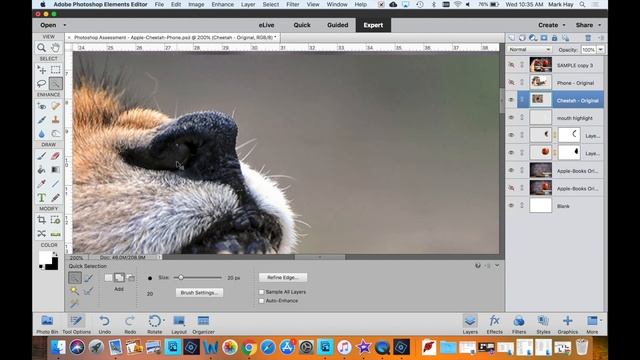 Mr. Hay Speed Art - Apple Cheetah on Books (Photoshop Elements) смотреть онлайн