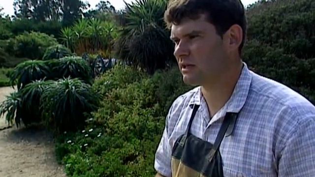 92 Сады мира смотреть онлайн