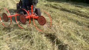 Ворошение скошенной травы граблями ВМ-3 для мотоблока