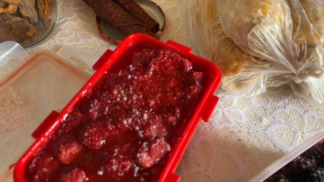 Клубника круглы год✅//Купить саженцы клубники 🇺🇦