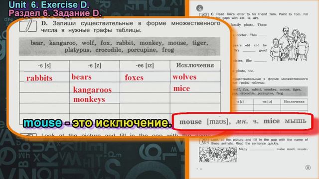 Задание D раздел 6 Рабочая тетрадь 4 класс Вербицкая Английский язык Forward смотреть онлайн