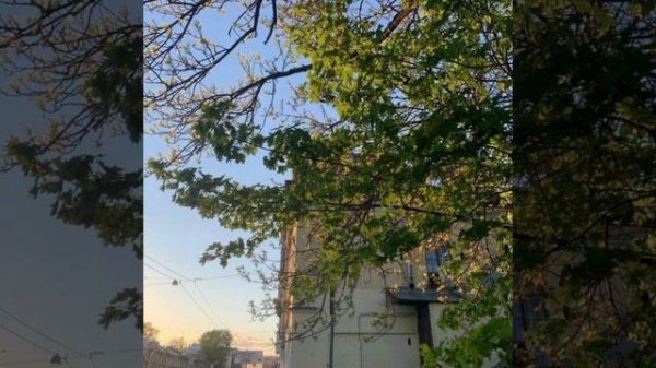 evergreen - richy mitch and the coal miners - tik tok version - (loop + instrumental)