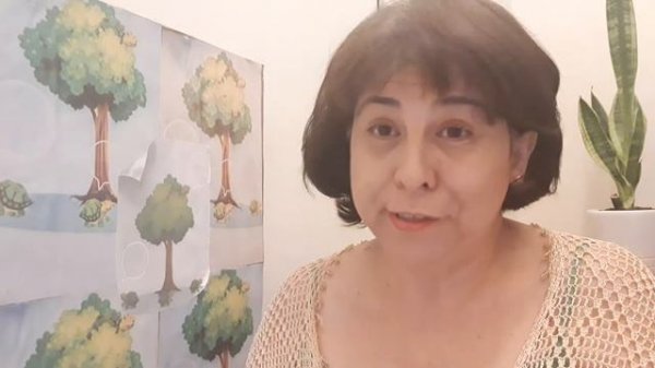 Parte 2 - HC Habeas Corpus coletivo para presos - Eleições ???