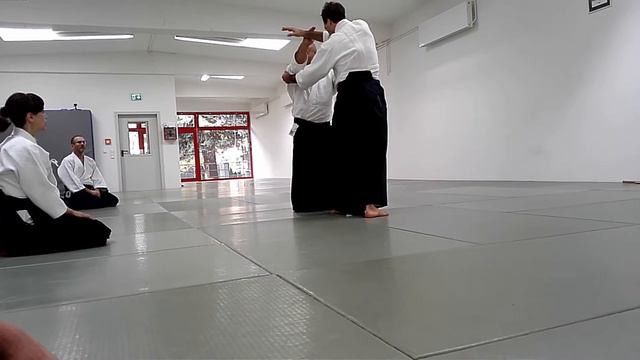 2016 Yamashima Sensei Aikido смотреть онлайн