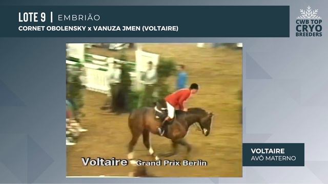 LOTE 9- CORNET OBOLESNKY X VANUZA JMEN (VOLTAIRE) смотреть онлайн