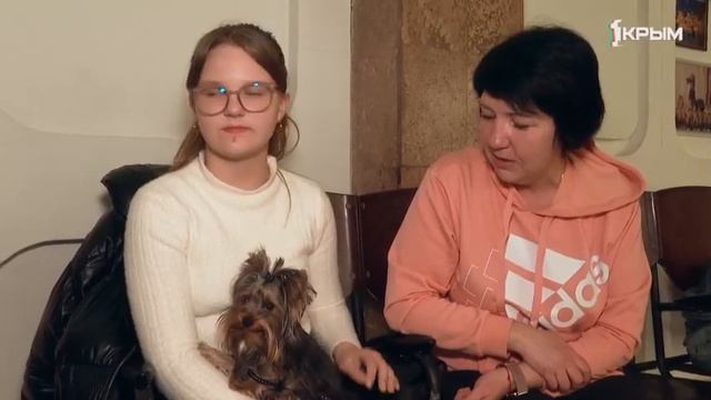 мы на канале Крым 1 программа клуб Шико питомник чихуахуа Кастропуло Крым выставка собак смотреть онлайн