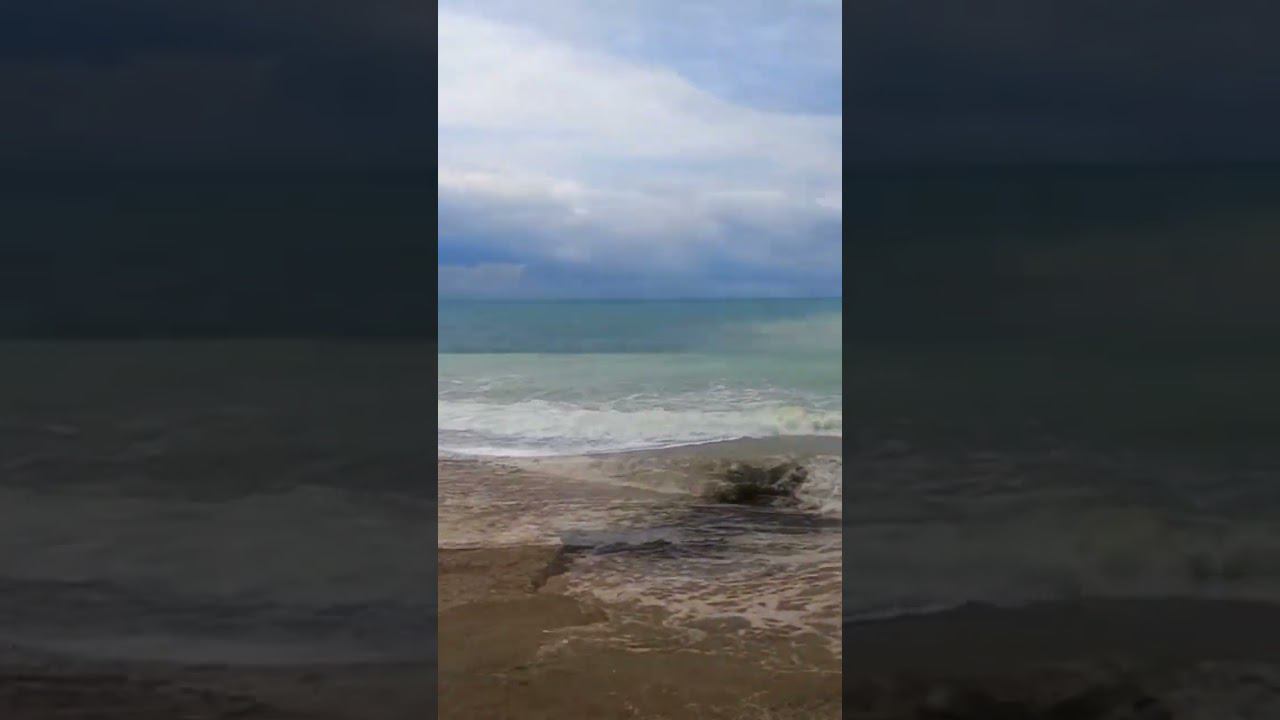 02.05.23 г. Погода Лазаревское - пляж дельфин #shorts #погодалазаревское #погодасочи смотреть онлайн