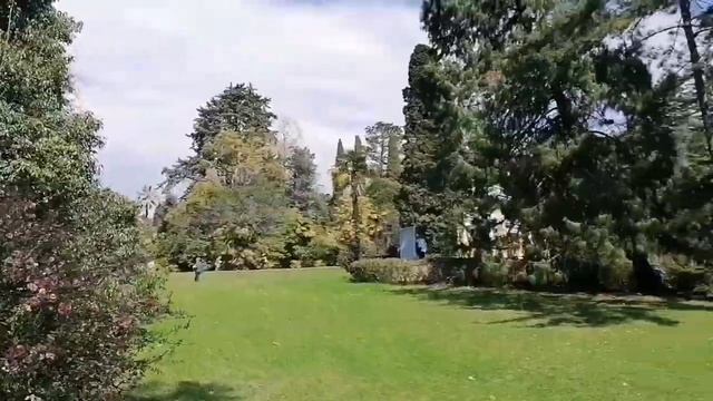 Сочи парк Дендрарий... смотреть онлайн