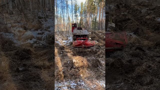 Минерализация почвы на лесосеке смотреть онлайн