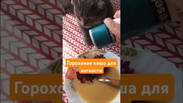 Гороховая каша и свекла очистят кишечник и придадут вам легкость в теле #здоровье#здоровоепохудение смотреть онлайн