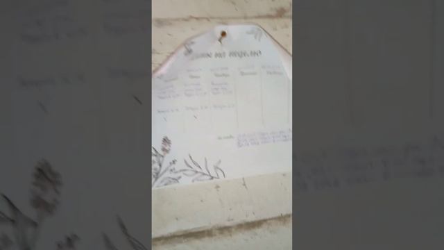 Записали в наш календарь количество яиц итог дня. смотреть онлайн