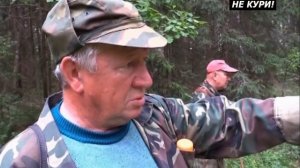 О породе Русская гончая - 2021г