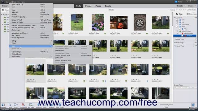 Learn About Stacking and Unstacking Photos in Adobe Photoshop Elements 2022: A Training Tutorial смотреть онлайн