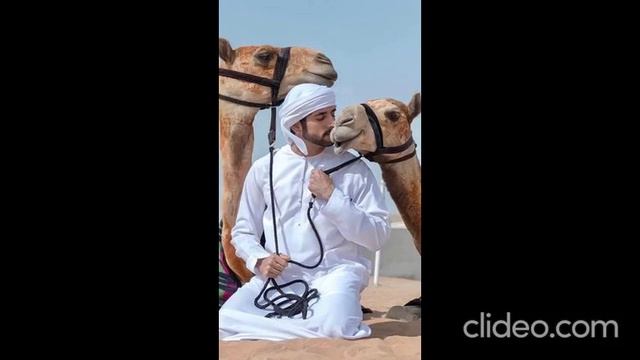 Rain ?️ on me | Fazza poems | Sheikh hamdan | Sheikh Hamdan’s poem #fazza | Royal Family #dubai смотреть онлайн