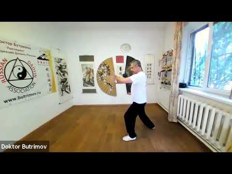 Тайцзи-цюань стиль Ян 24 формы с доктором Бутримовым. Вид со спины. Тайцзи в домашних условиях. смотреть онлайн