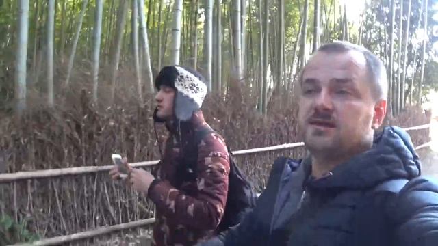 Япония за 8 дней, Киото. Бамбуковый лес. Kurama Onsen