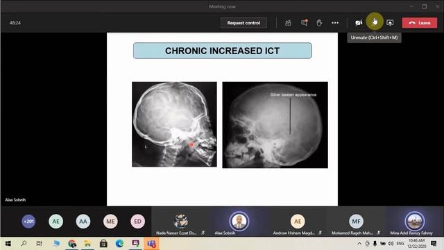 GIT AND BONE X RAY STOOL ANALYSIS смотреть онлайн