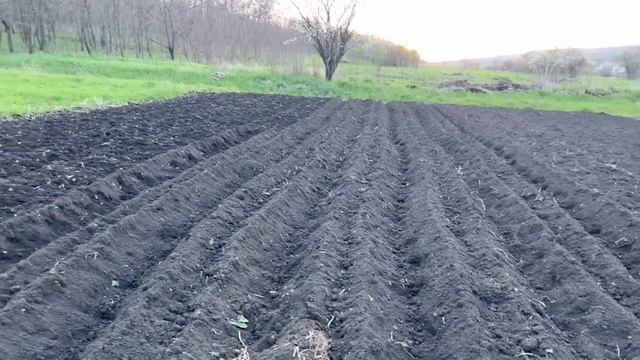 #533 Посадили картошку и сделали всё, что планировали за два дня смотреть онлайн
