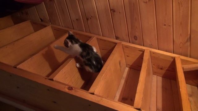 Кнопка научилась спускаться по лестнице смотреть онлайн