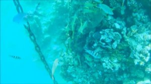 Обзор пляжа и рифа отеля Queen Sharm resort 4* (Шарм-эль-Шейх)