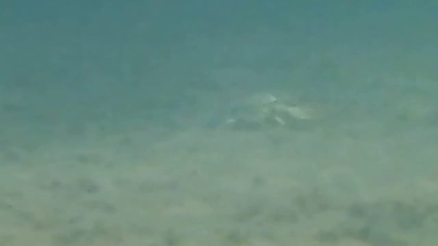 Кандры Куль под водой смотреть онлайн
