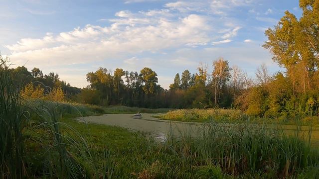 Открытие сезона охоты на уток 2024. смотреть онлайн