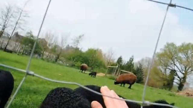 Headbutting with Robert de Lamb (a.k.a Jaques) смотреть онлайн