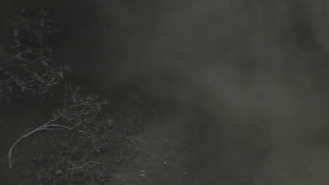 [Horror ASMR] 죽음의 숲, 아오키가하라 / 무서운, 공포, 좀비, 귀신, 유령, Zombie,, Ghost, Hantu, AOKIGAHARA: Suicide Fores