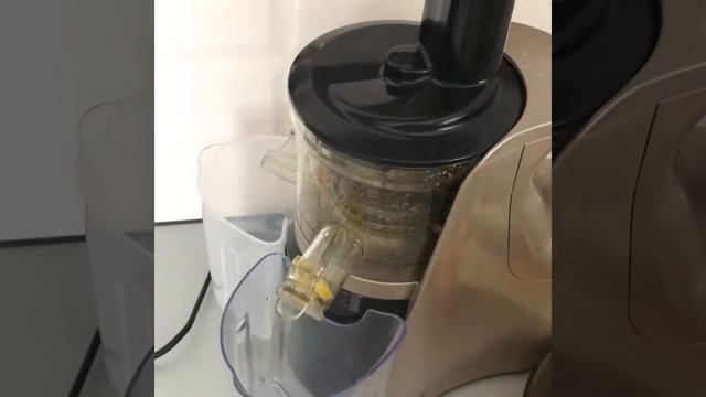 Лучшая шнековая соковыжималка для дома GALAXY 0802 смотреть онлайн