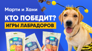 ИГРЫ ЗА ЛАКОМСТВА / НОУЗВОРК / ПРЫЖКИ / BFF / КТО ПОБЕДИТ?