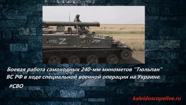 Боевая работа самоходных 240-мм минометов Тюльпан ВС РФ в ходе специальной военной операции смотреть онлайн