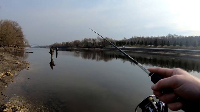 Чулково ● Крупный берш ● Микроджиг ранней весной ● Тест спиннинга Maximus Ichiro 20L 2-9g смотреть онлайн