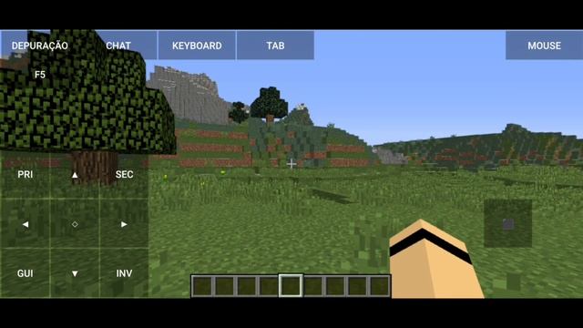 COMO COLOCAR SKINS NO POJAVLAUNCHER EM QUALQUER VERSÃO DO MINECRAFT смотреть онлайн