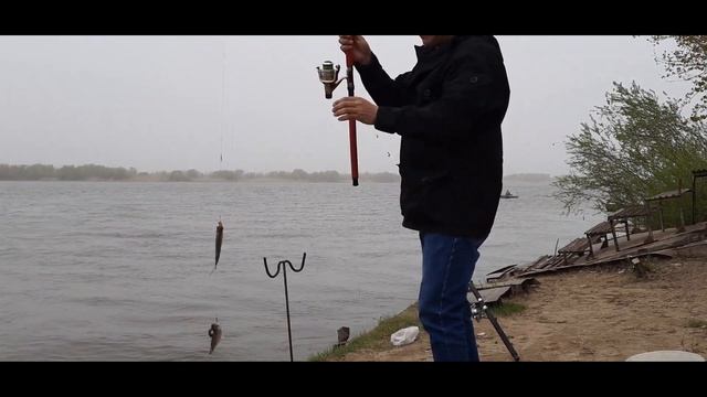 Рыбалка ВОБЛА Астрахань![Бешенный Клёв] Неплохо порыбачил! смотреть онлайн