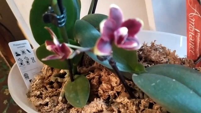 Распаковка посылки которая в пути была3 суток на морозе смотреть онлайн