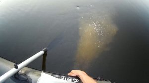 Лучшая снасть для ловли на течении ( кольцо - яйца )