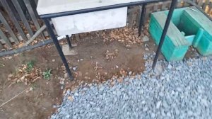 Бюджетная парковка на дачном участке.