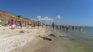 Влог. Много медуз. Отдыхающие в шоке. Состояние пляжа. Кирилловка 2020. BRIANCEV